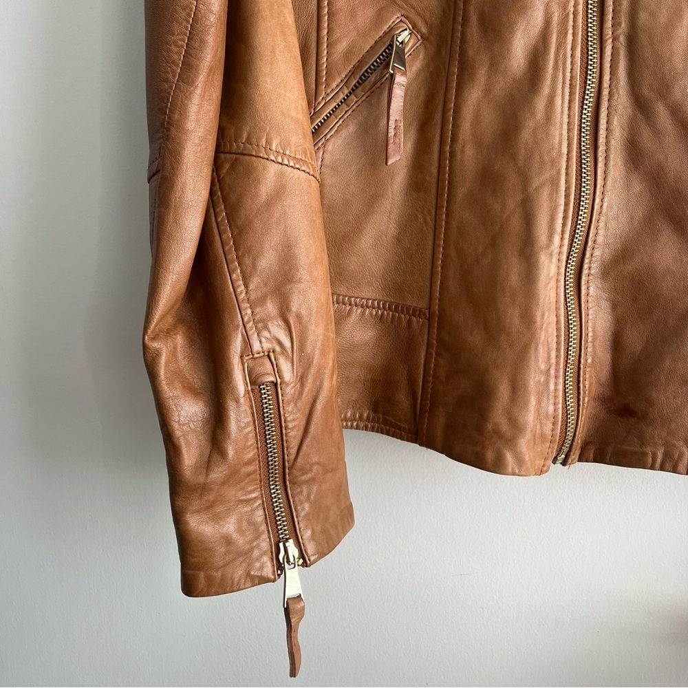 Danier Leather Jacket - Picture 4 of 7